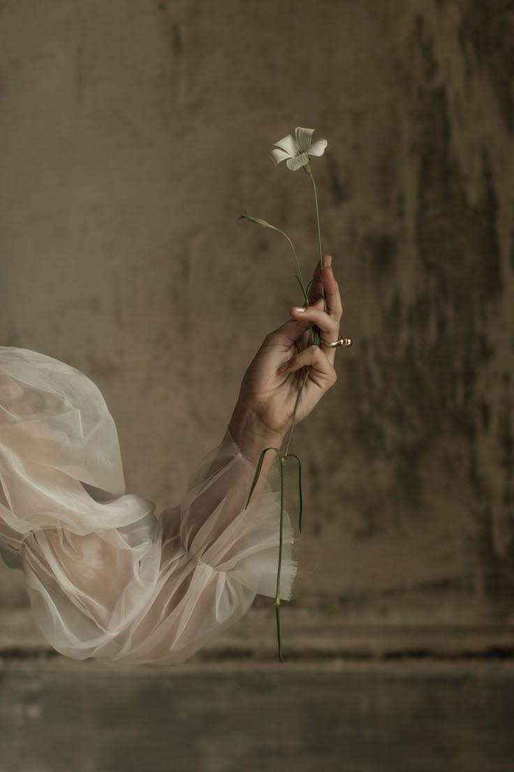 Elegance in Pastel Petal Symphony